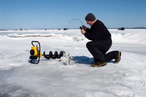 Ice fisherman reeling up a whitefish through a hole in the ice